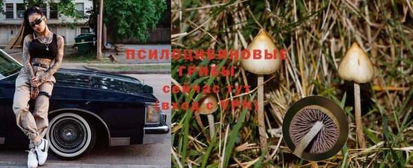 метадон Абаза